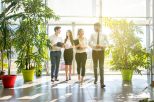 employee walking together